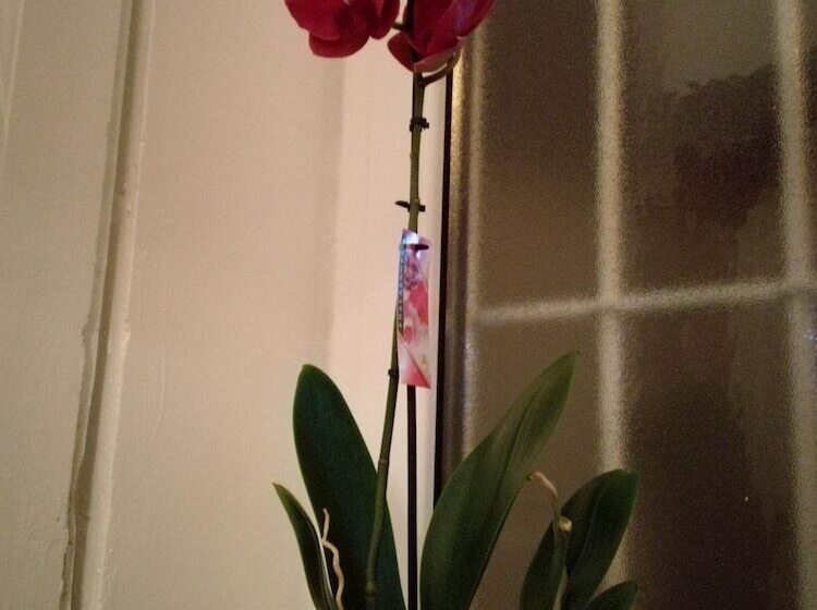 민박 La Dimora Del Giurista