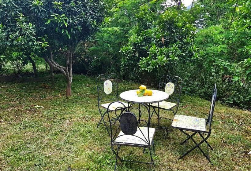 مبيت وإفطار Villa Cipriano