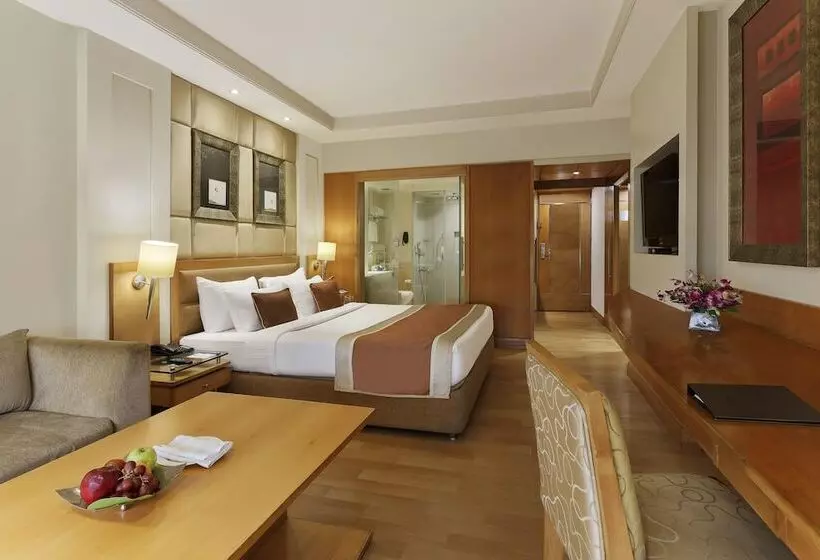 هتل Park Plaza, Ludhiana