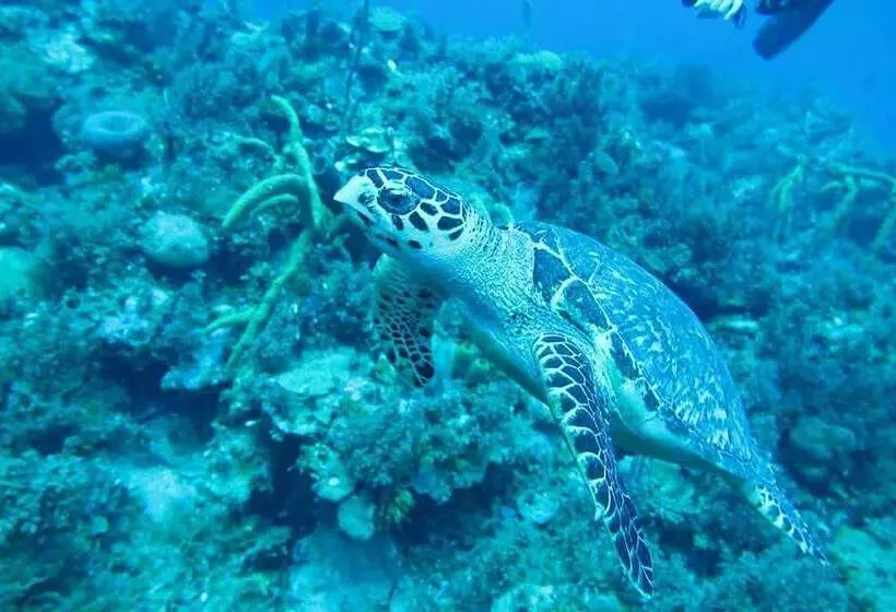 ホテル Travellers Beach Resort