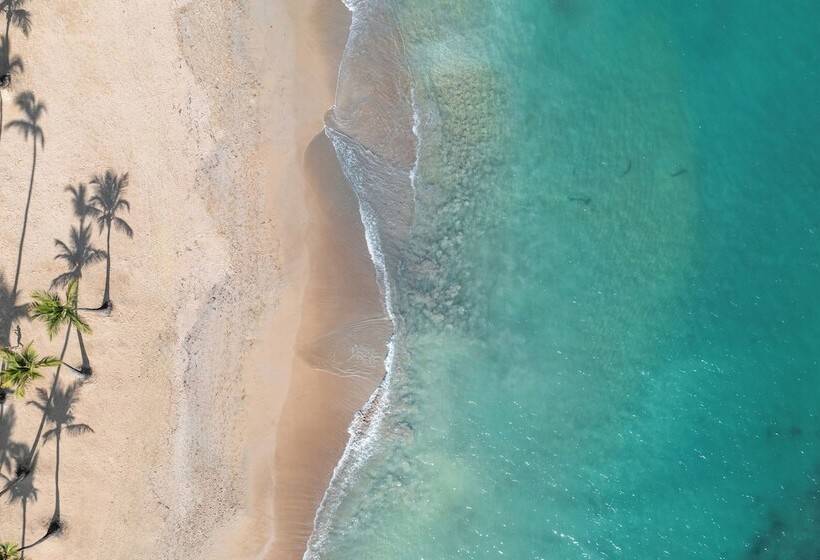 Wyndham Alltra Punta Cana All Inclusive Resort