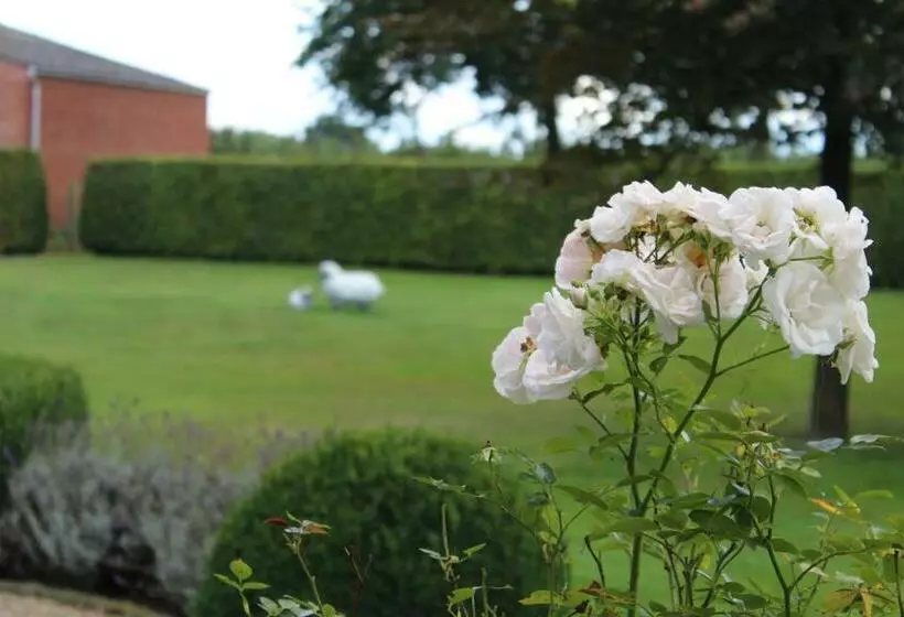 Aamiaismajoitus (B&B) Mille étoiles