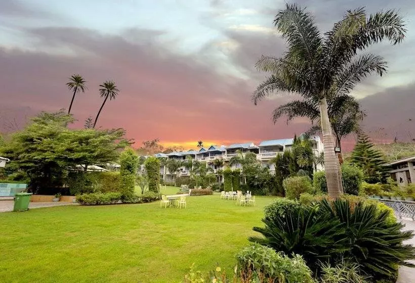 Hummingbird Resort