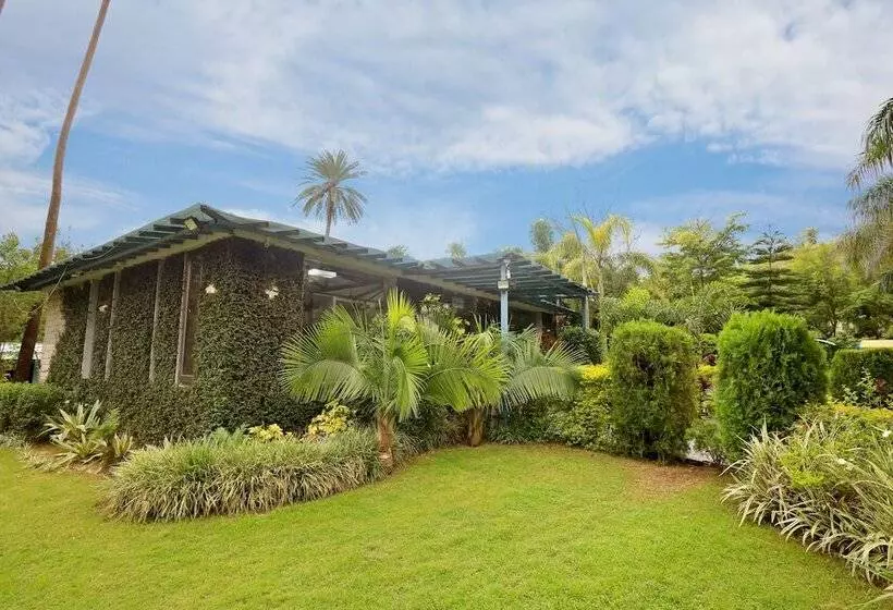 Hummingbird Resort