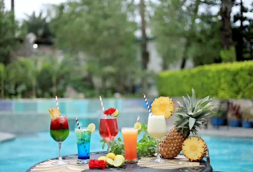 Hummingbird Resort