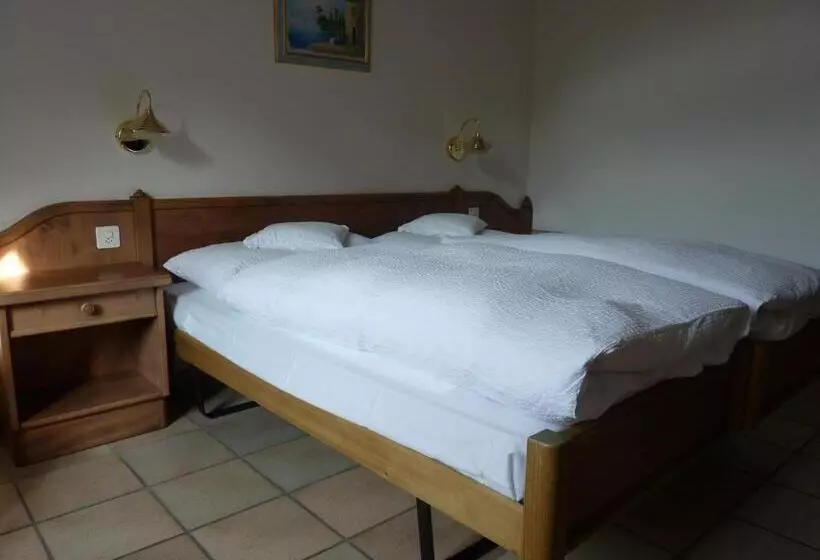 Hotelli Gasthof Löwen