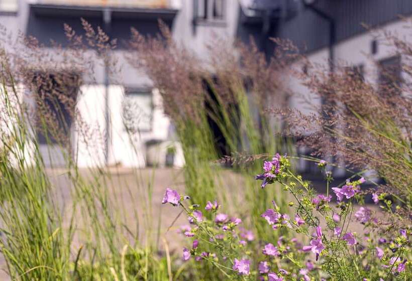 בית מלון כפרי Gumbalde Resort