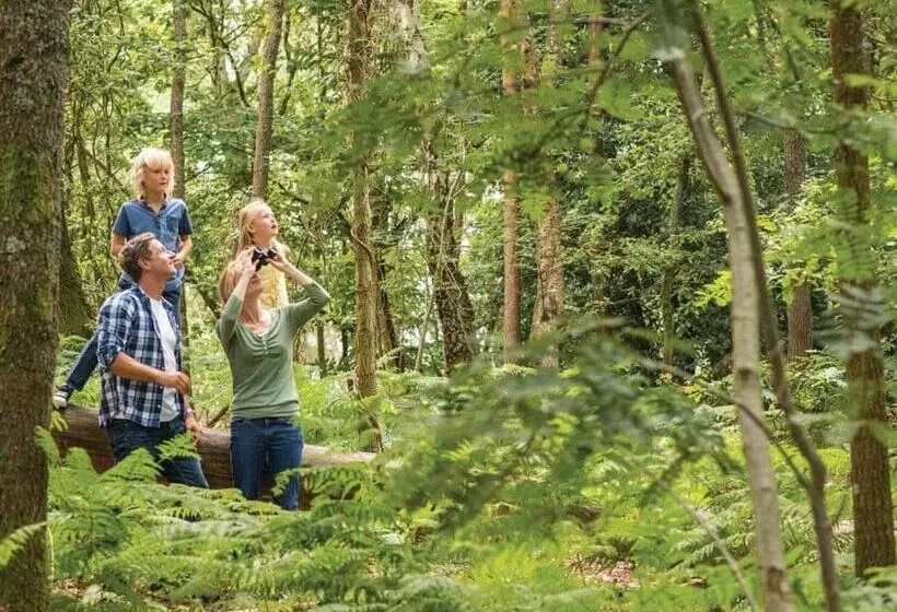 Lomakeskus Exmoor Gate Lodges