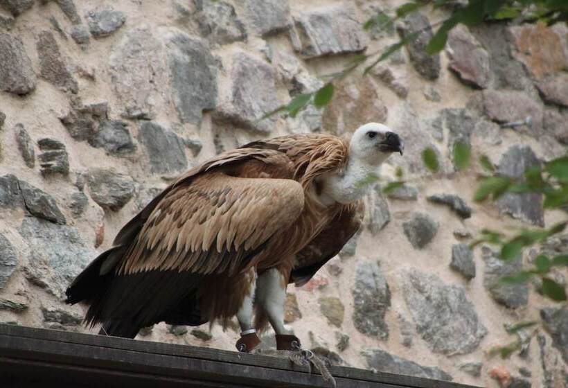 פנסיון La Maison De Vacances