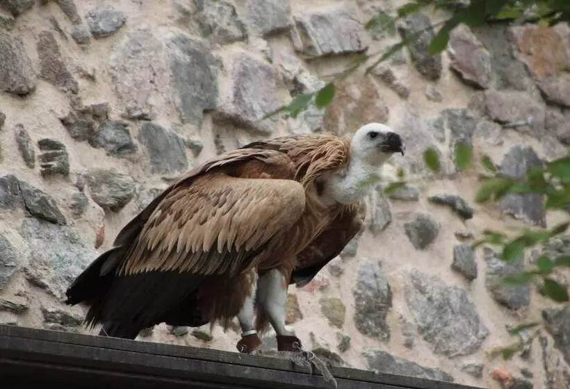 ペンション La Maison De Vacances