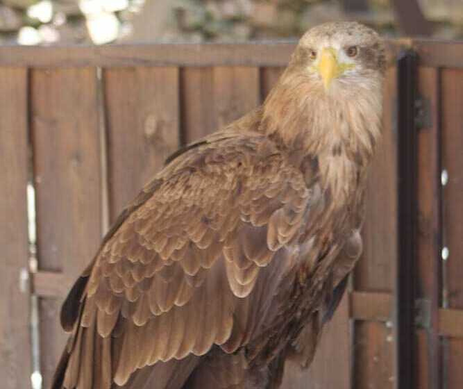 פנסיון La Maison De Vacances