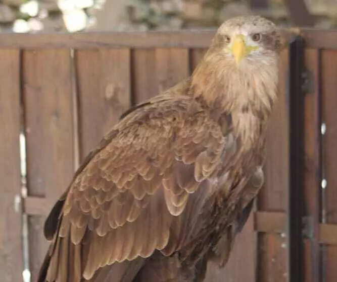 ペンション La Maison De Vacances