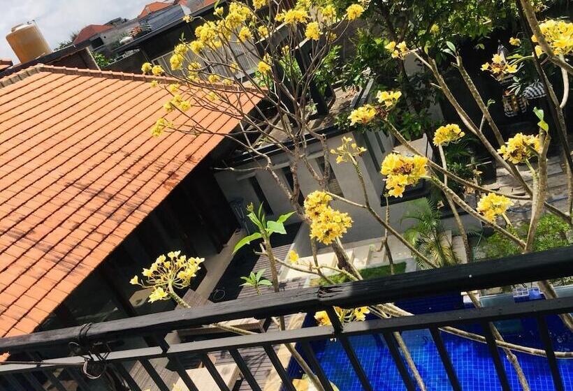 פנסיון Villa Glas