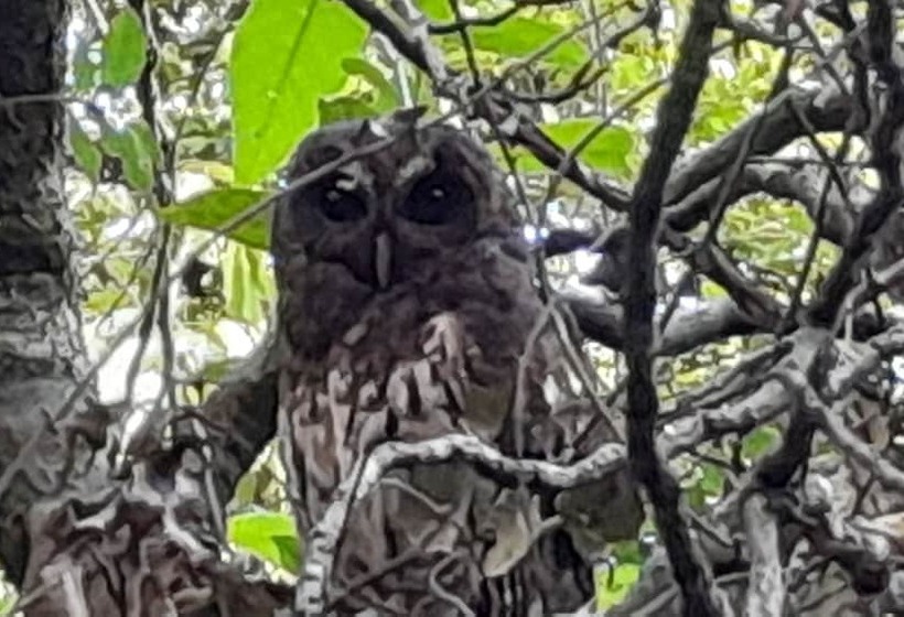 Cabañas La Montaña