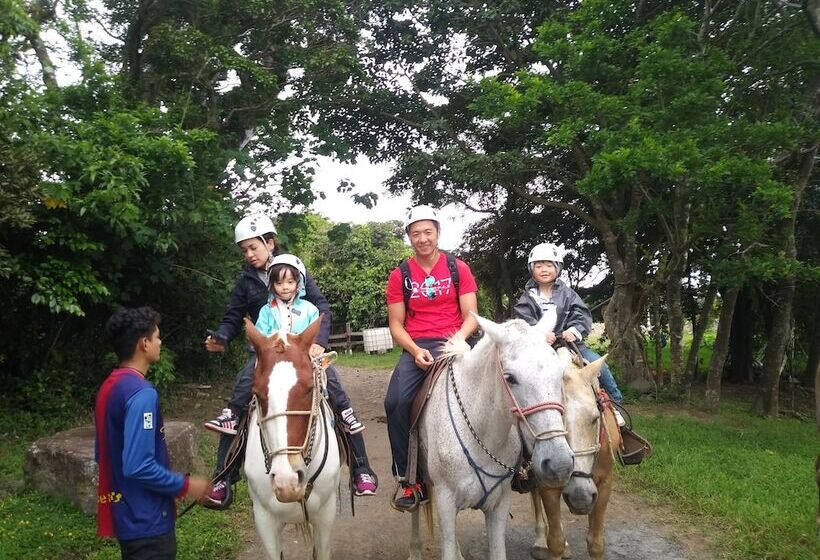 Cabañas La Montaña
