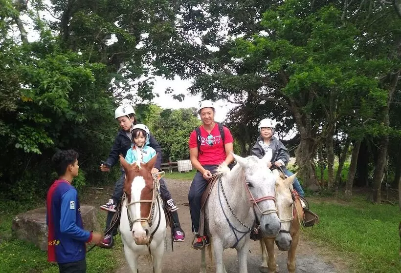 Cabañas La Montaña