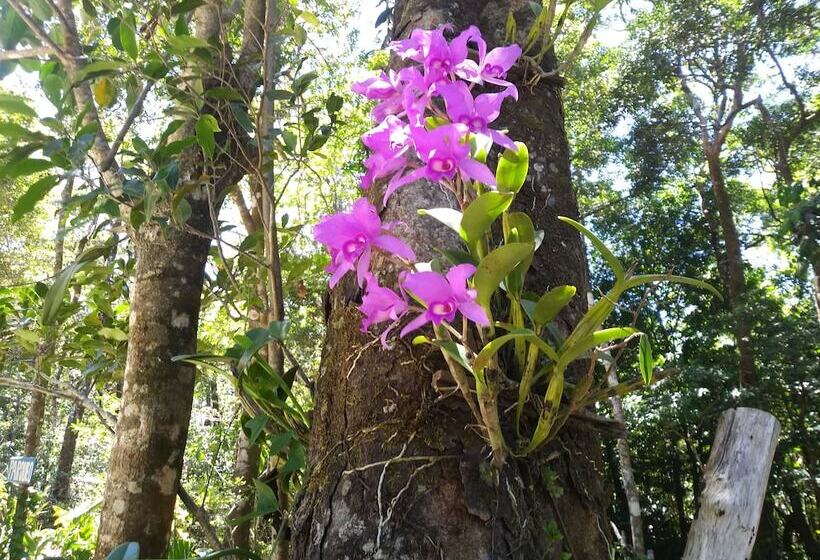 Cabañas La Montaña