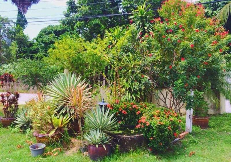 Hotel Ron's Bungalow