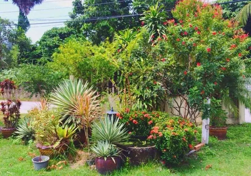 ホテル Ron's Bungalow