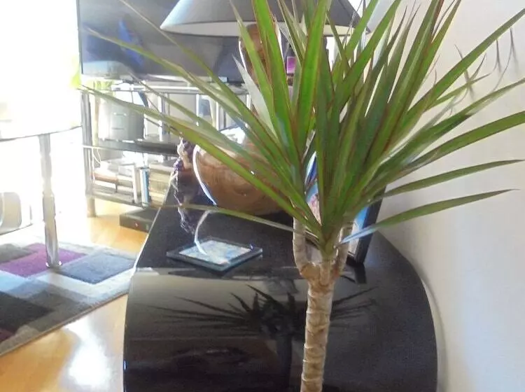 هتل روستایی Western Barn