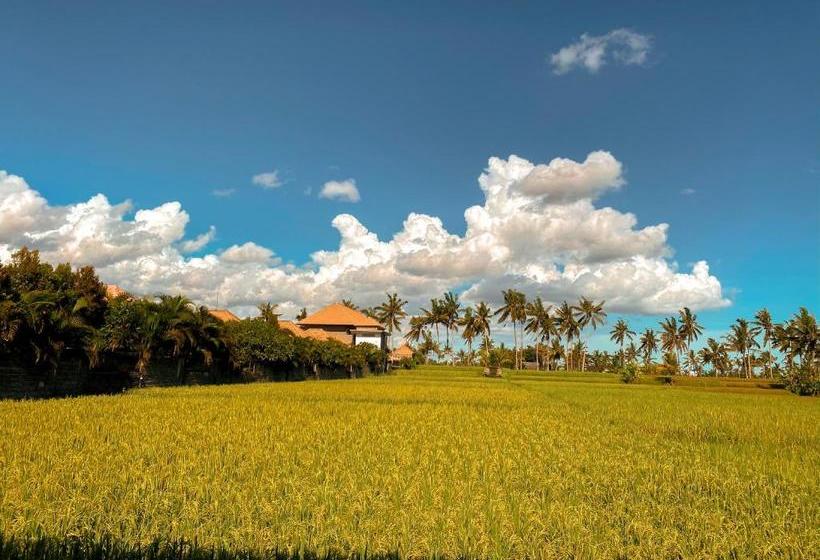Отель The Sawah Resort & Villa