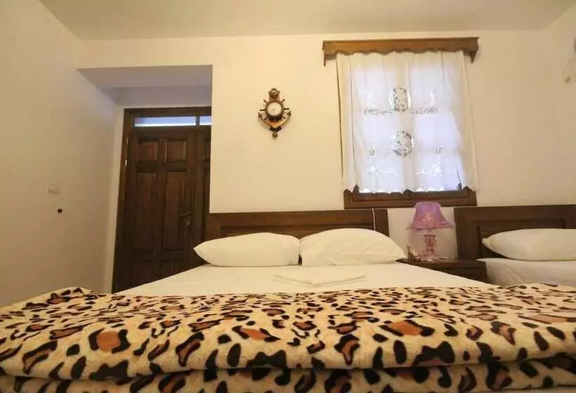 ペンション Guesthouse Altin