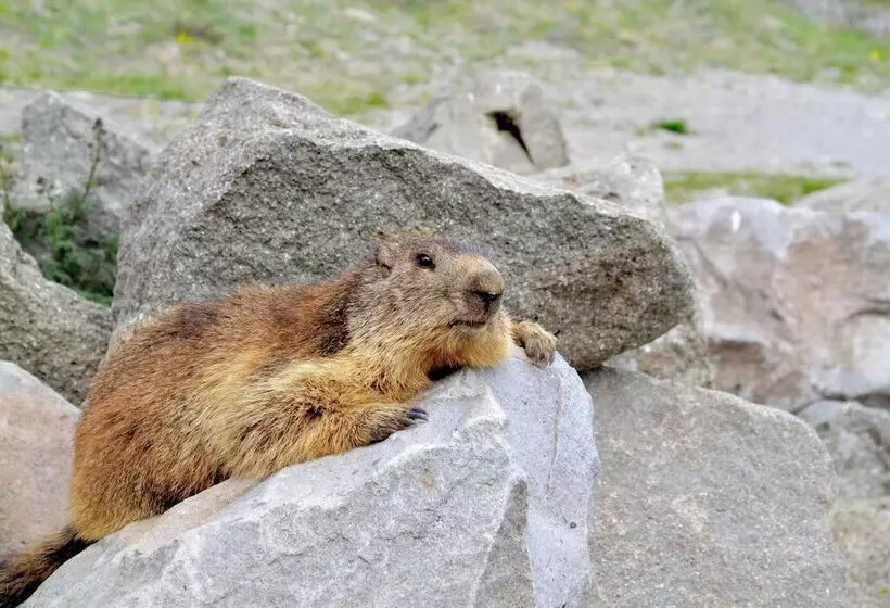 リゾートホテル Vvf Résidence Méribel Les 3 Vallées