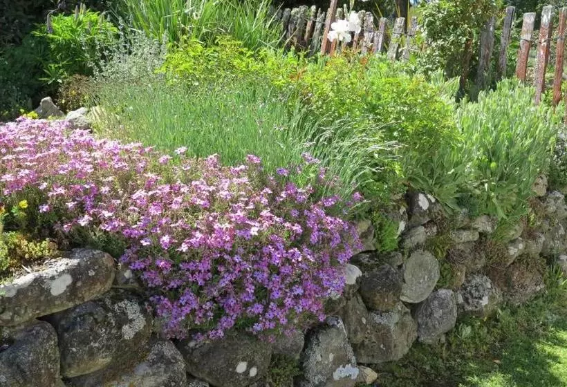 Tophouse Mountain View Cottages