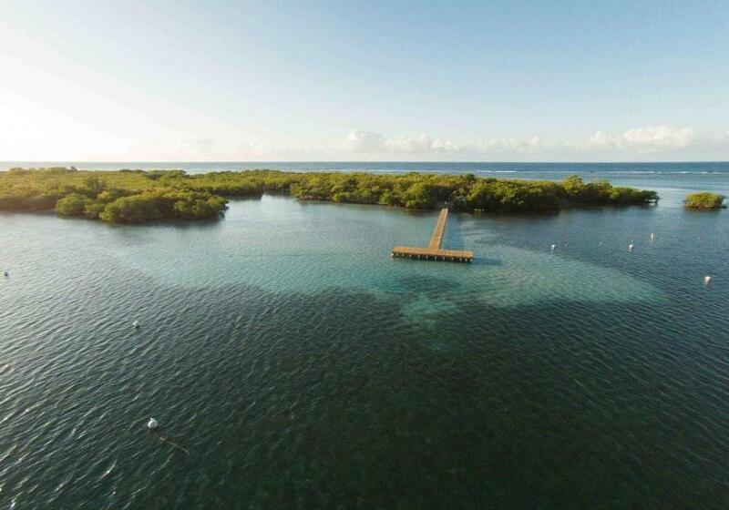 هتل Copamarina Beach Resort & Spa