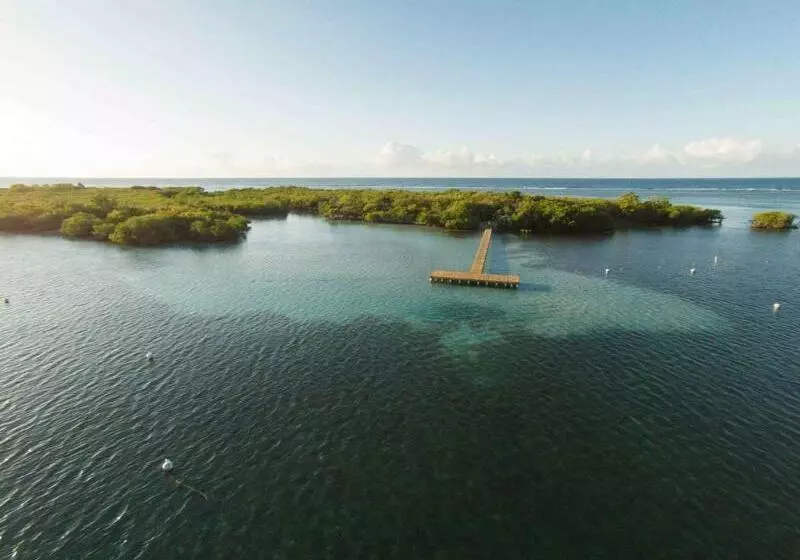 هتل Copamarina Beach Resort & Spa