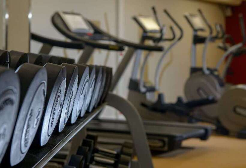 בית מלון כפרי Hilton Zurich Airport