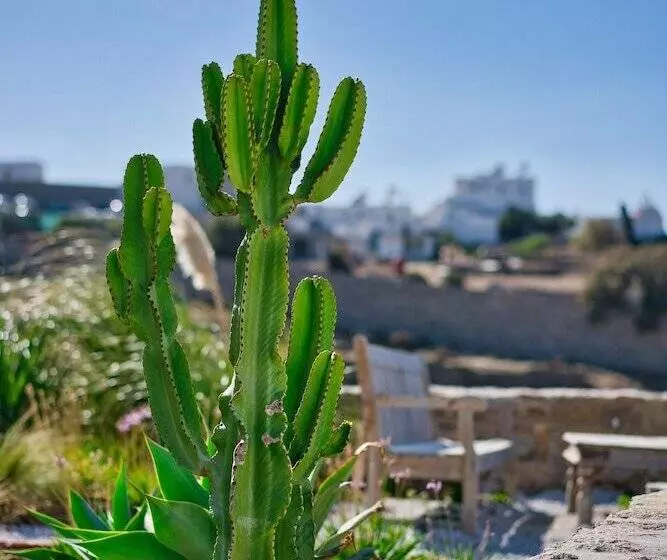 ホテル San Antonio Summerland