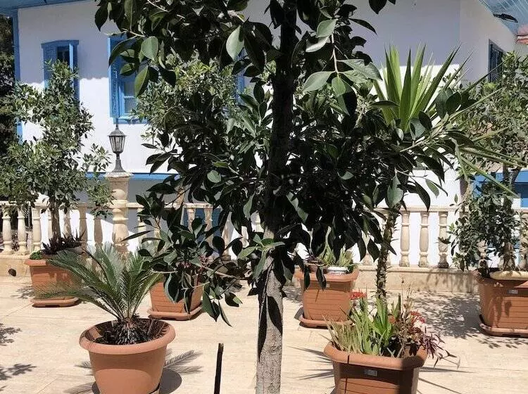 Reutlingenhof Boutique Hotel   Special Class