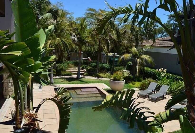 African Palm Cottage