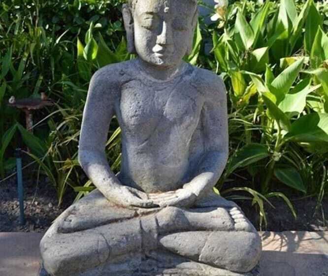 African Palm Cottage