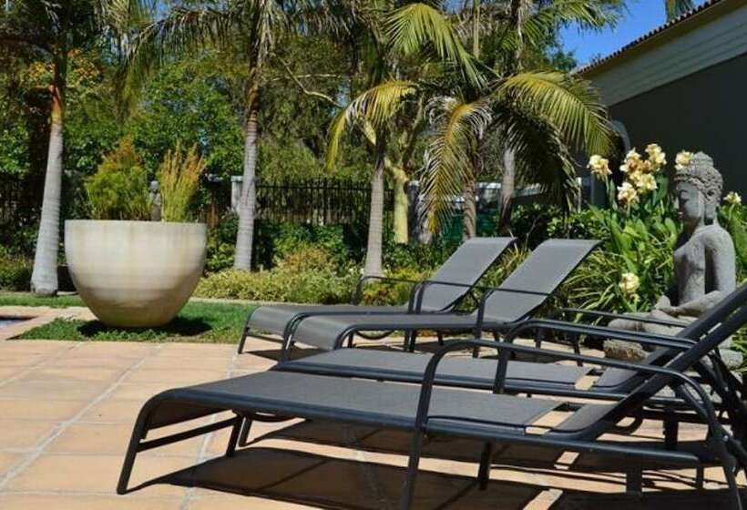 African Palm Cottage