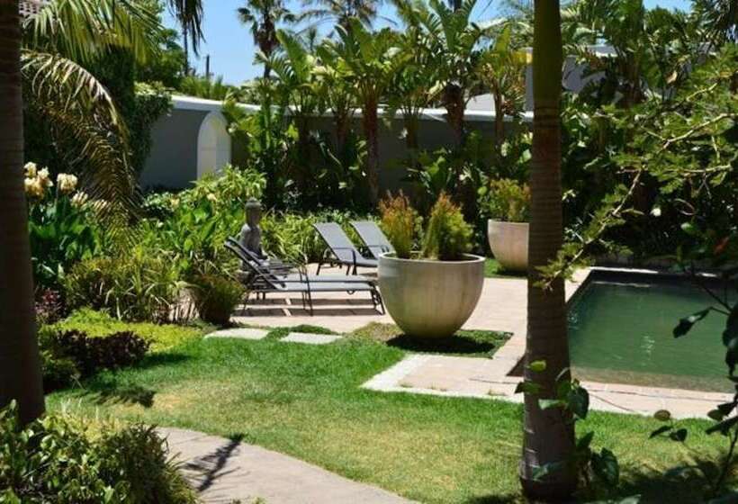 African Palm Cottage