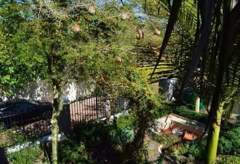 African Palm Cottage