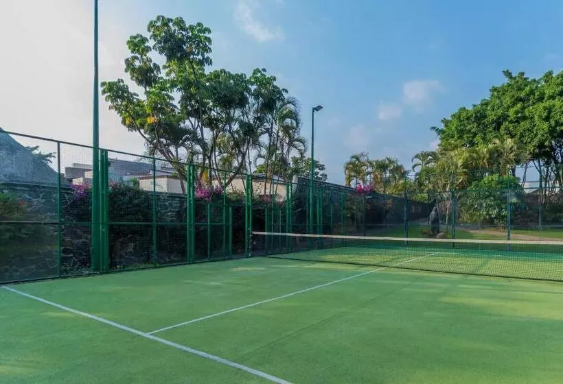 ベッドアンドブレックファースト Casa Sofia