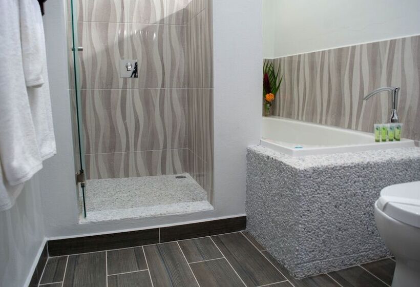 هتل Carver Suites