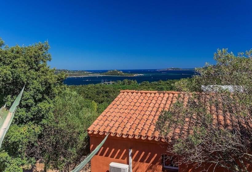 فندق Residence Royal Palm