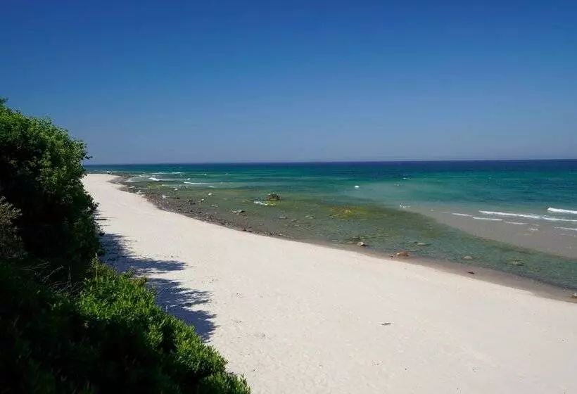 Lomakeskus Reetland Am Meer