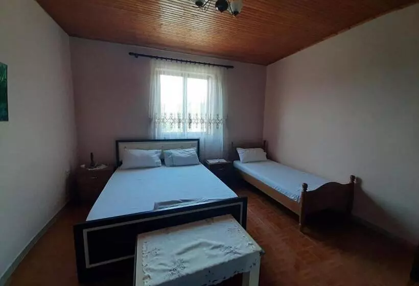 ユースホステル Guest House Pashollari