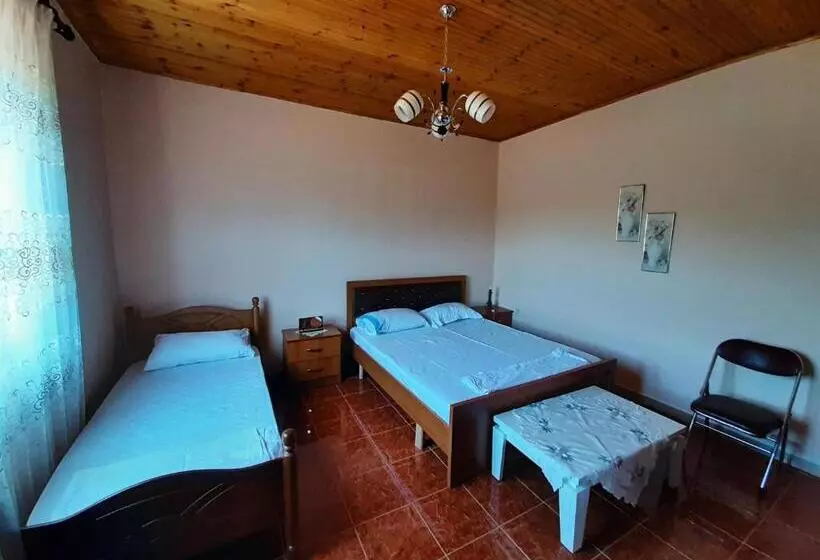 ユースホステル Guest House Pashollari