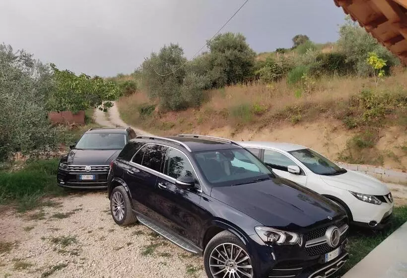 ユースホステル Guest House Pashollari