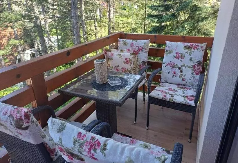 Apartman Nana Svetogorska 19 ,stan 17