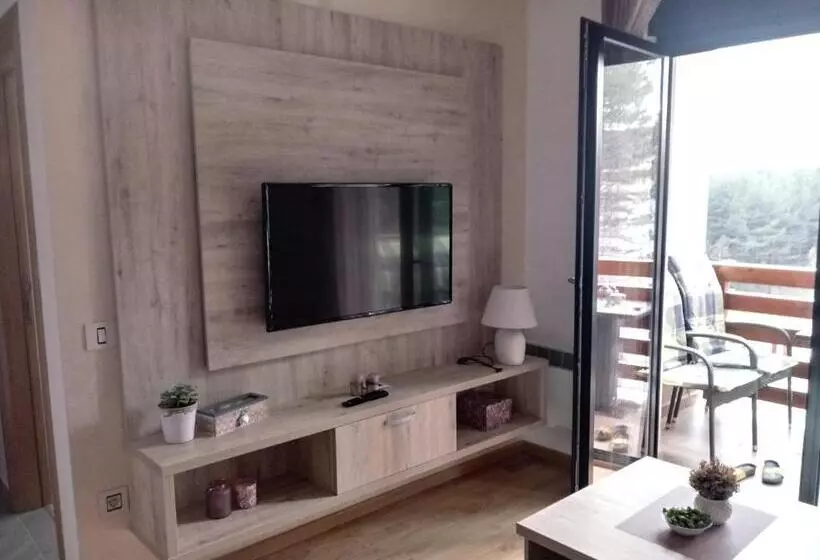 Apartman Nana Svetogorska 19 ,stan 17