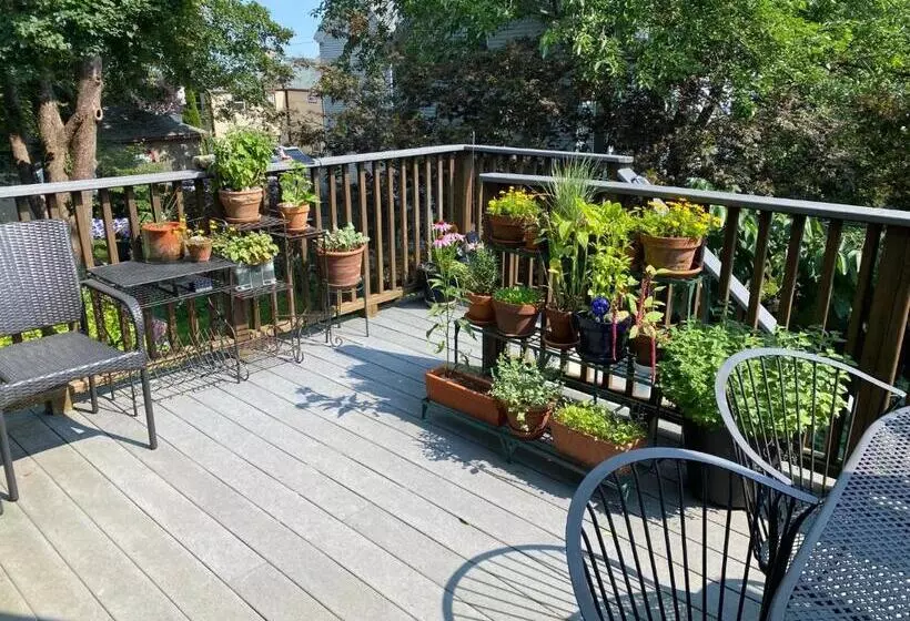 Aamiaismajoitus (B&B) Northey Street House