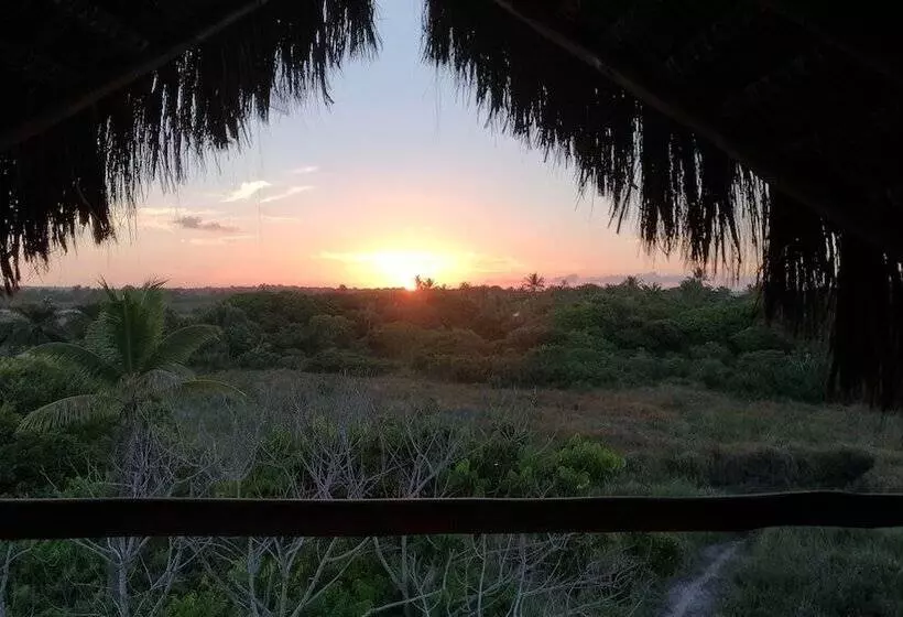 ベッドアンドブレックファースト Villa Elemental