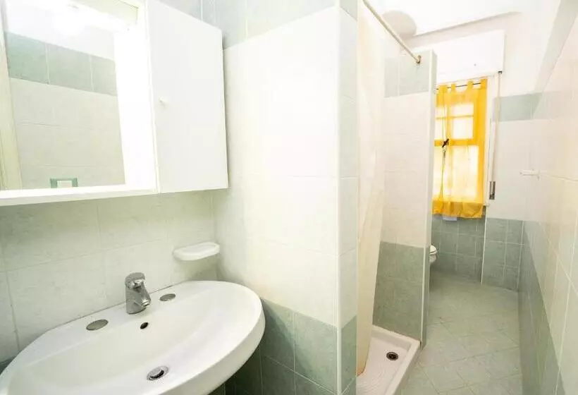 Macrinum Green Marine